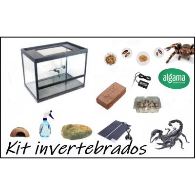Kit para invertebrados